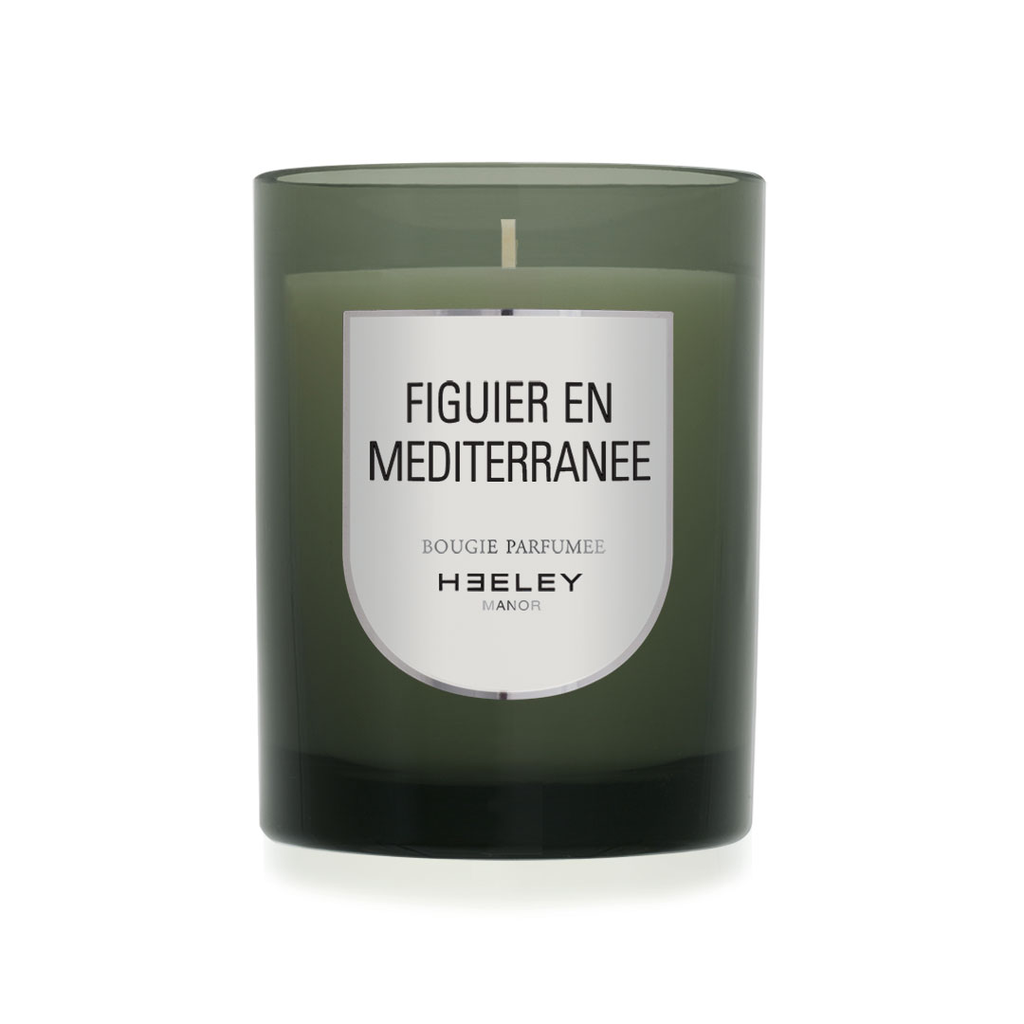 FIGUIER EN MEDITERRANÉE